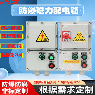 防爆启动控制箱一路二路带总开关风机水泵电磁开关箱防水铸铝外壳