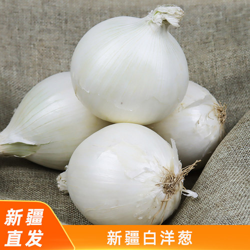 新疆新鲜白洋葱皮牙子