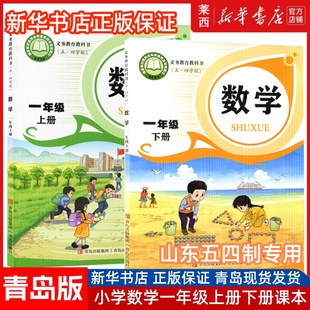 2024秋新版小学数学1一年级上册下册54五四制青岛版小学1下数学课本54学制青岛版一年级上下学期小学数学课本1上下数学青岛出版社