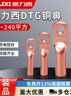 德力西紫铜DTG-10 16 25铜鼻子接线端子压线铜管鼻电线电缆铜线耳