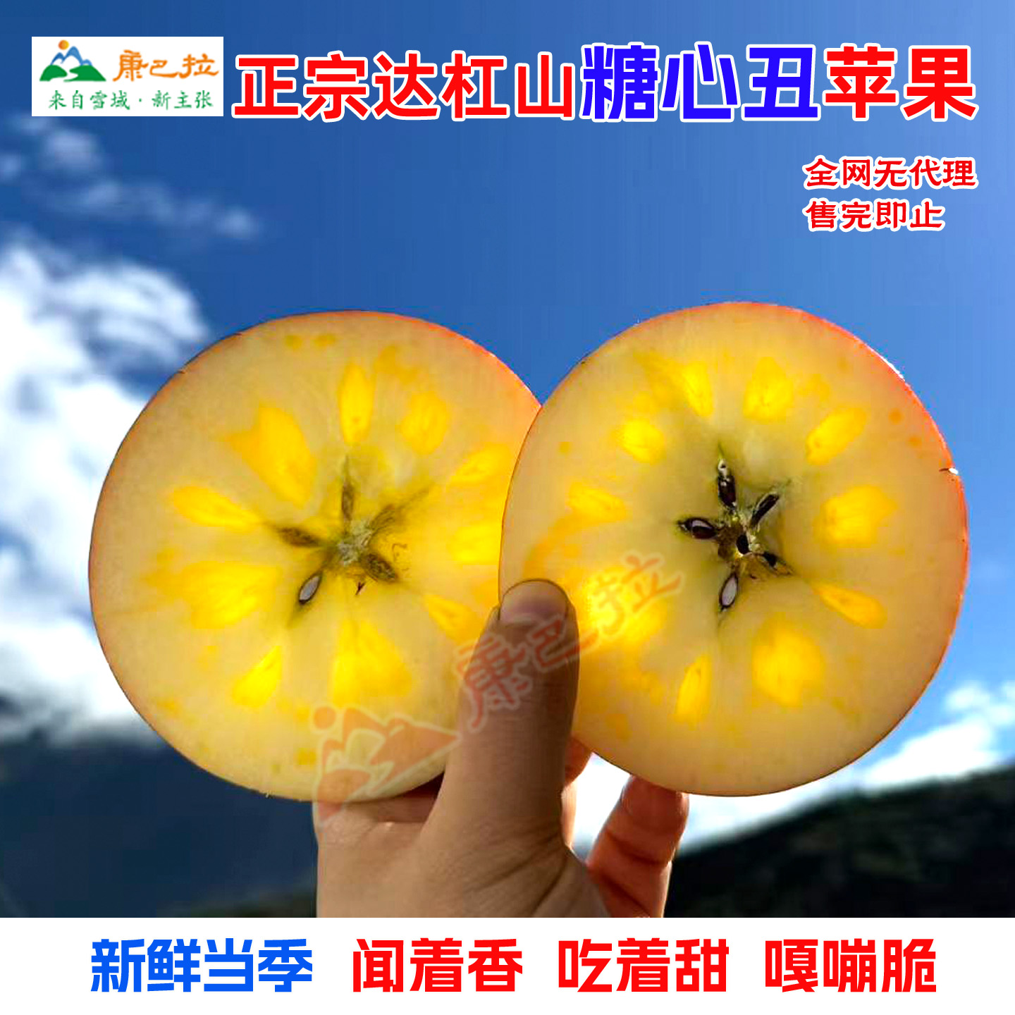 正宗高原达杠苹果脆甜化渣果香浓