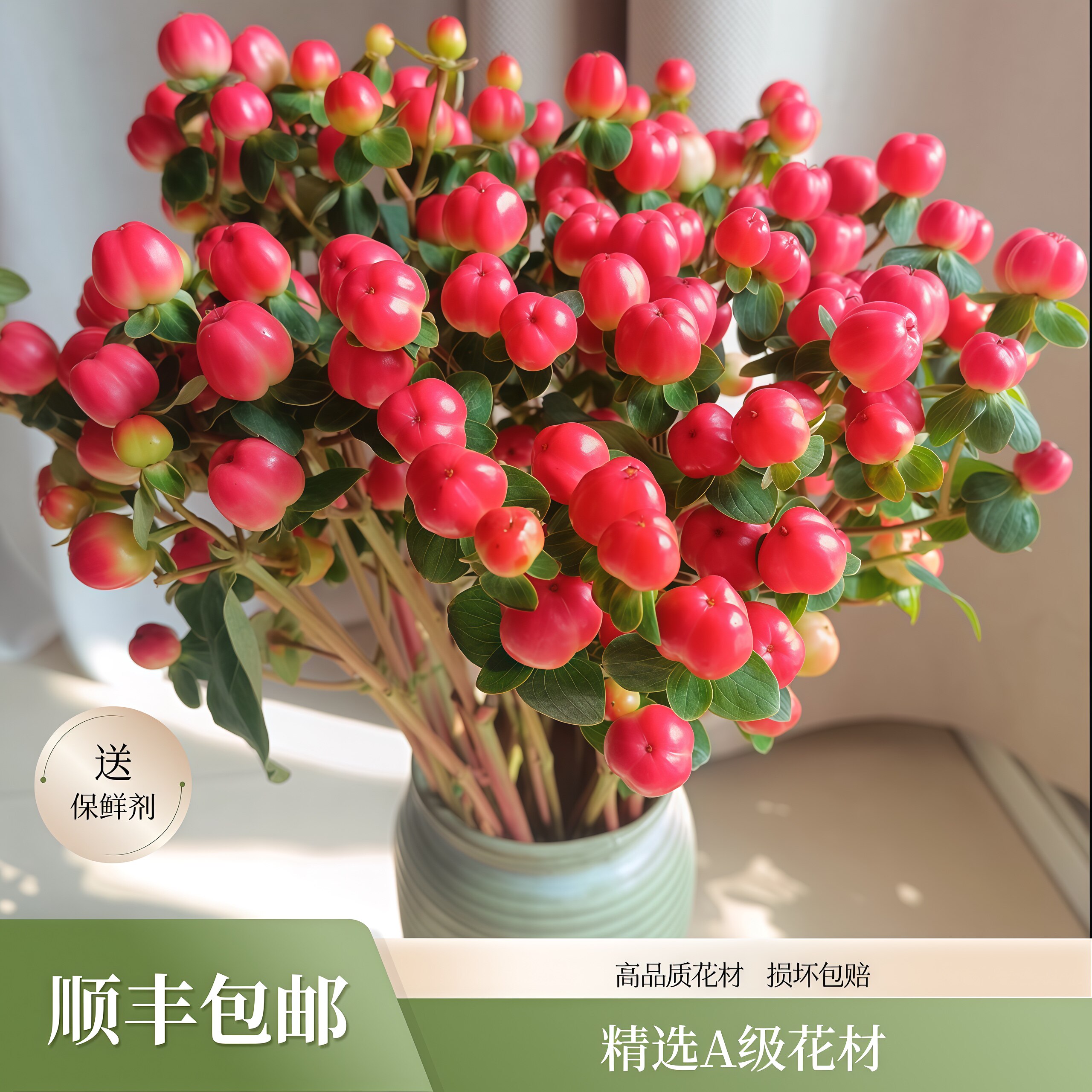 长风花舍【顺丰包邮】鲜花A级火龙珠客厅插花手捧花