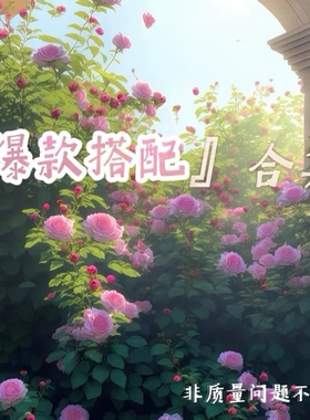 项链清仓！然后我们跳舞了项链女轻奢小众高级设计感手链清仓爆款
