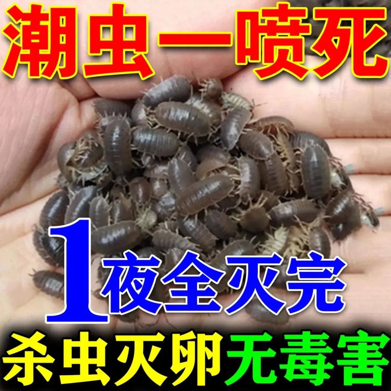潮虫药家用全窝端室内灭潮虫杀虫剂卫生间去鼠妇除西瓜虫无毒无味