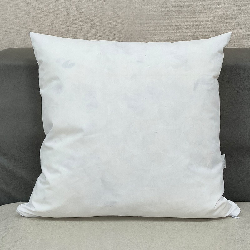鹅毛抱枕芯羽毛内胆方形客厅沙发靠枕腰枕靠背垫套大号床靠垫DF97