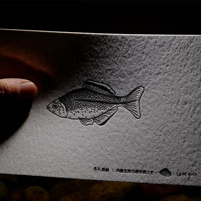 “齐式鰟鮍”小溪里的鱼系列