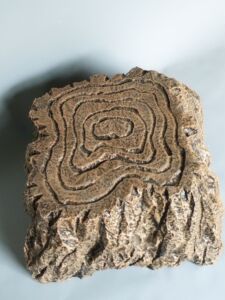 仿真树桩影视道具演出舞台树墩道具橱窗摆件装饰泡沫树桩拍照道具