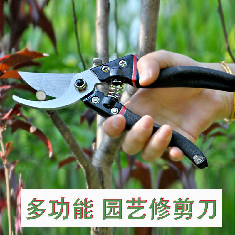 果树修剪刀园艺工具修剪树枝剪园艺剪刀花艺鲜花剪刀盆栽修枝剪枝_虎窝淘