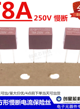 392方形慢断电流保险丝 250V T8A T8000mA 红色 电源保险丝  全新