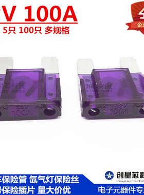 汽车保险管氙气灯保险丝大号保险插片 紫色 32V 100A