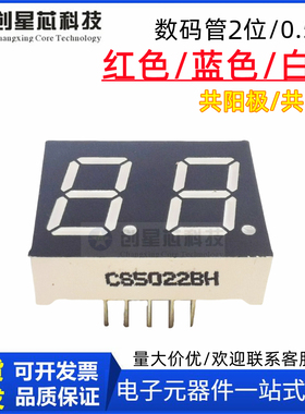0.5寸二位白光数码管CS5022AW7.3CS5022BW白色LED显示5021AW/BW