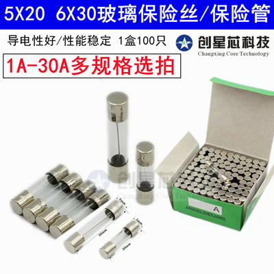 5*206*30玻璃保险管250V