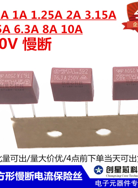 392红色方形慢断电流保险丝 250V T0.25A0.5A1A2A3A4A5A6.3A8A20A
