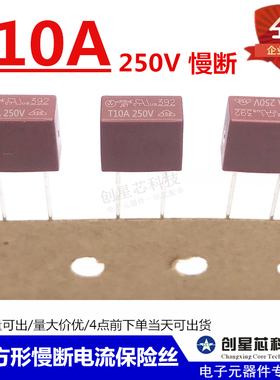 392方形慢断电流保险丝 250V T10A T10000mA 红色电源保险丝 现货