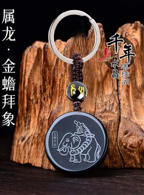 属龙招财吉祥物金蟾拜象吉宏