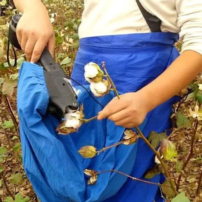 棉花采摘机电动采棉机摘棉d花机小型拾花机捡棉花机农用棉花收获
