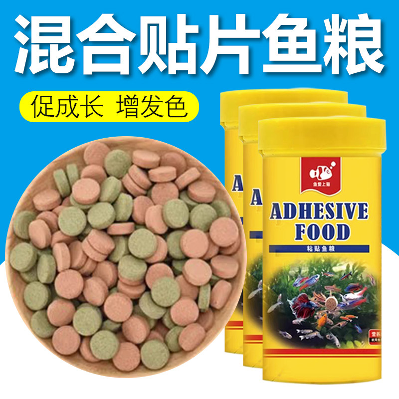 鱼爱上猫鱼粮热带鱼灯科鱼粮金波子鱼玛丽鱼食小型鱼饲料,宠物/宠物食品及用品,观赏鱼饲料,淘宝优惠券,粉丝福利购,淘宝优惠卷