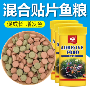 鱼爱上猫鱼粮热带鱼灯科鱼粮金波子鱼玛丽鱼食小型鱼饲料