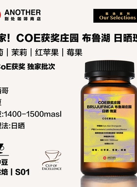 别处咖啡独家墨西哥CoE第五名获奖布鲁湖庄园日晒瑰夏精品咖啡豆