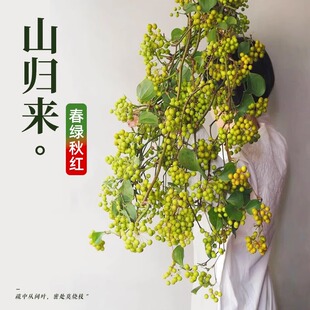 山归来鲜切枝条蔷薇果干花水培植物绿植鲜花家用室内好养插花客厅