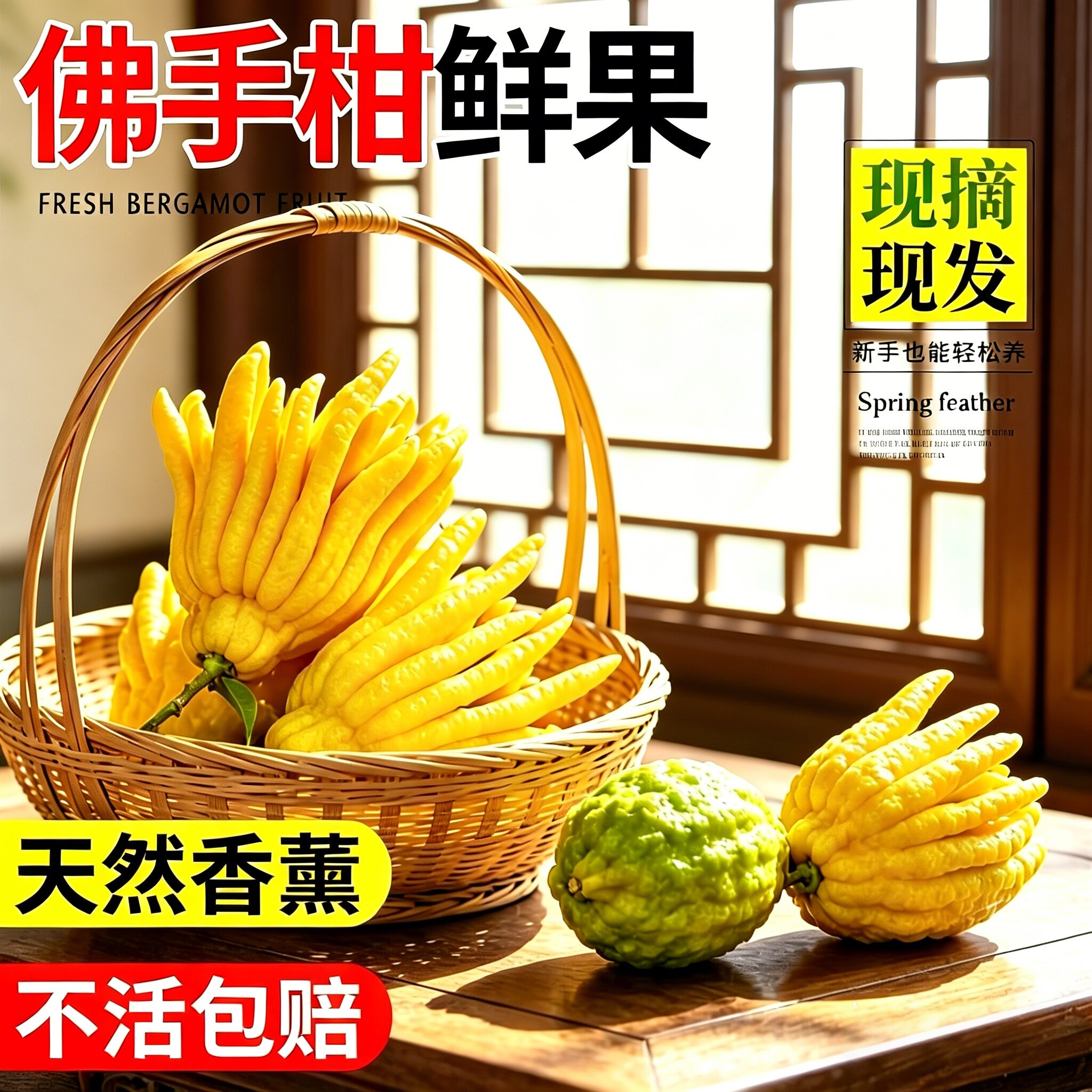 佛手柑鲜果水培植物现摘新鲜佛手瓜摆件室内水养绿植观赏盆栽好养