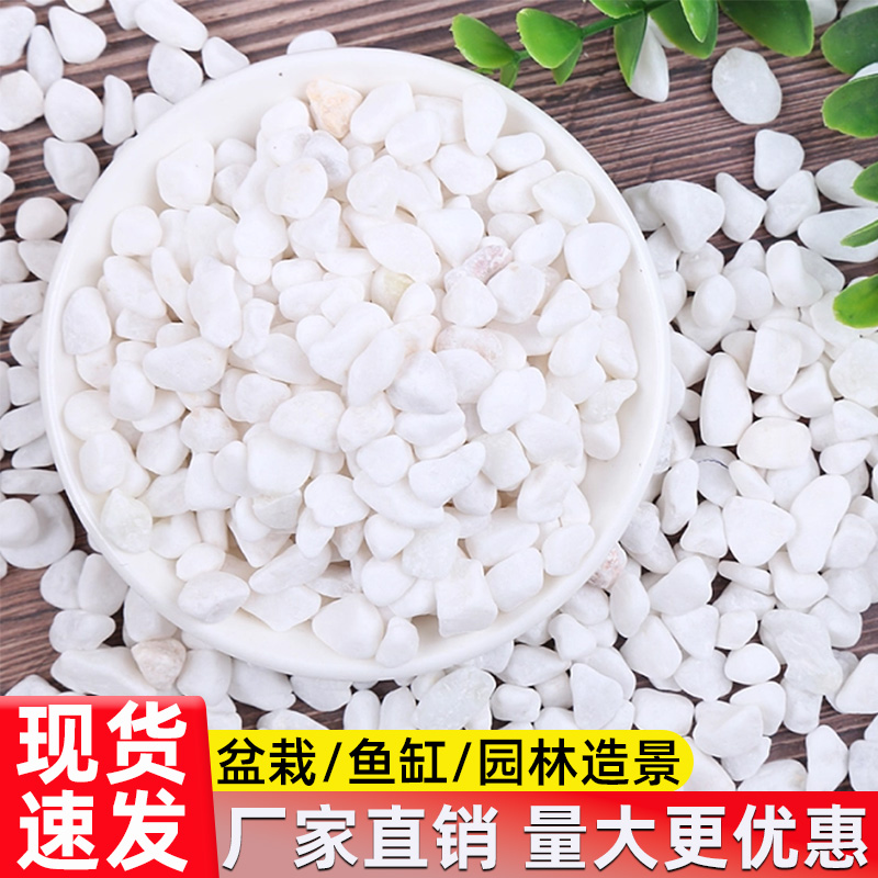 白石子白色鹅卵石庭院铺路铺地