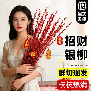 银柳真花鲜枝客厅干花摆件红色年宵花卉水培植物室内干枝红柳鲜花