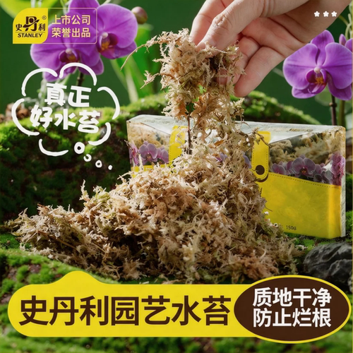 史丹利蝴蝶兰专用水苔营养土