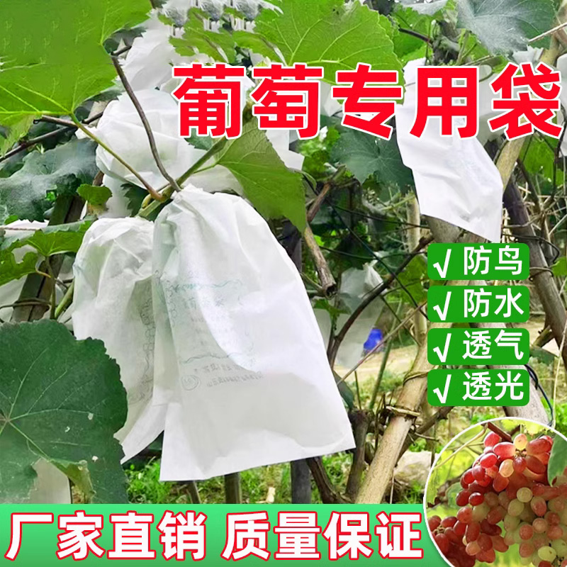 水果套袋葡萄袋子防虫防鸟水果袋