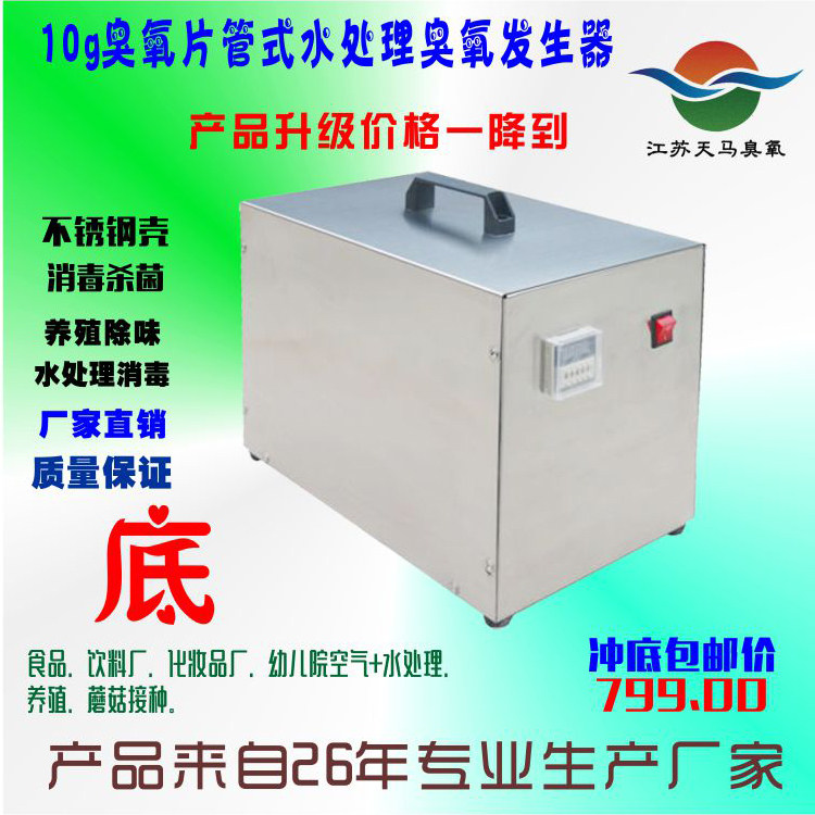 消毒机水处理臭氧发生器食品水果蔬菜解毒空气净化除味10g包邮