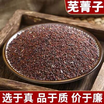 芜菁子500克中药材泡茶酒精选正品特级无硫芜青子芜箐籽粉蔓菁代