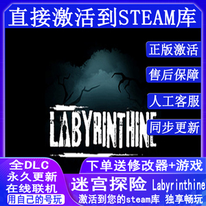Steam正版 迷宫探险 国区全球区激活Labyrinthine PC中文多人联机