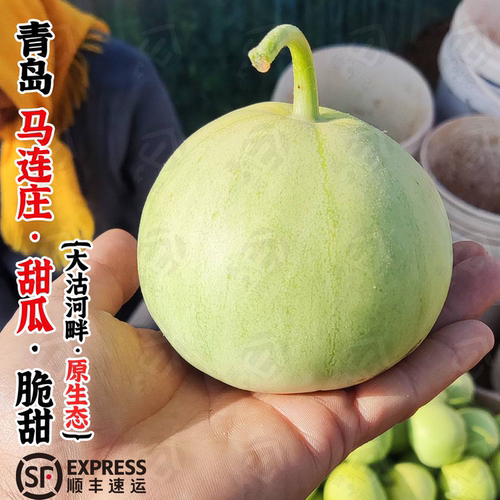 『马连庄甜瓜』国家地标产品顺丰快递当季必买，脆甜多汁不踩雷