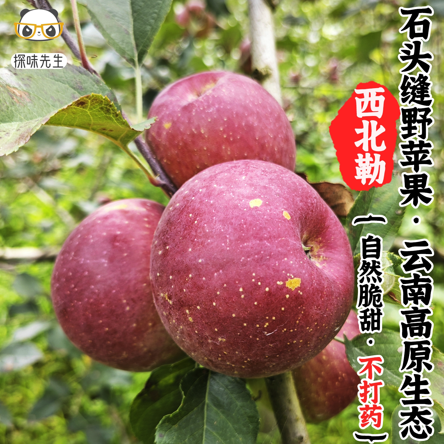 云南西北勒野苹果生态丑苹果小时候的味道高原苹果不打药脆甜多汁