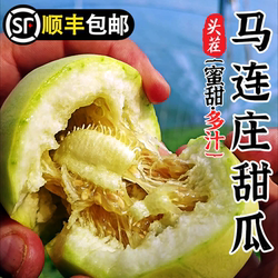 【2026顺丰】正宗马连庄甜瓜山东甜瓜甜宝甜瓜脆甜孕妇新鲜水果