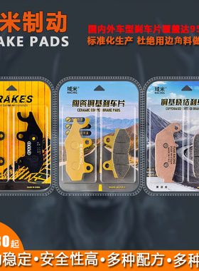 适用大运PTG200X PTG300X 拉力摩托车前后高性能耐磨碟刹皮