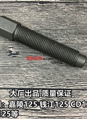 维修工具摩托车专用磁电机拉码