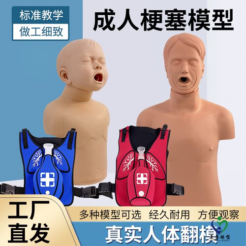美善模型成人海姆立克急救训练
