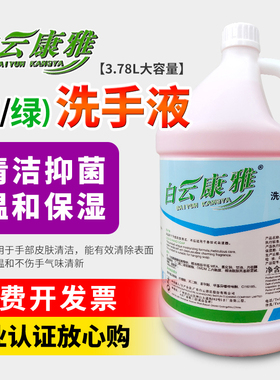 白云康雅洗手液清洁护肤保湿护肤皂液大桶酒店用补充装KY117绿色