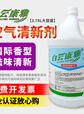 康雅国际芳香ky120空气清新剂