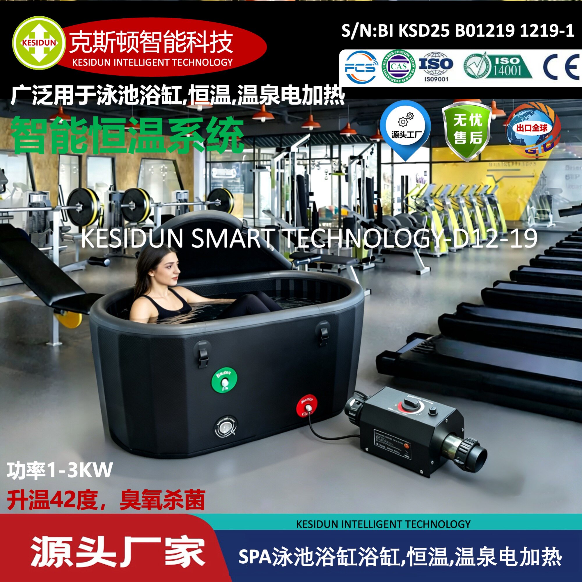 小型按摩浴缸用电加热器恒温器自动进行恒温加热炉泳池设备全自动