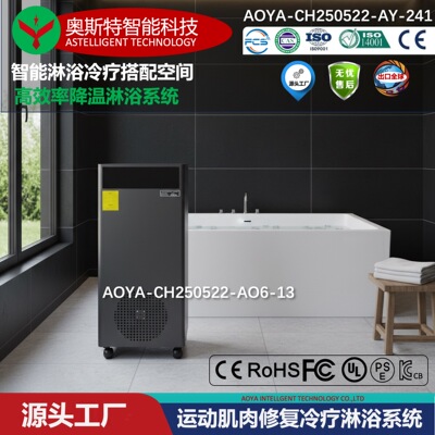 商用运动员专用双人不锈钢一体冷水浴缸带全自动智能冰浴系统设备