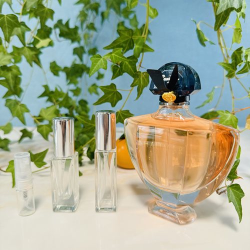 迷醉一千零一夜 EDP 浓香 香水小样