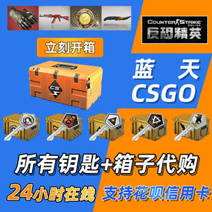 CSGO箱子钥匙CS2命悬一线裂梦魇蝴蝶刀变革千瓦手套武器箱steam