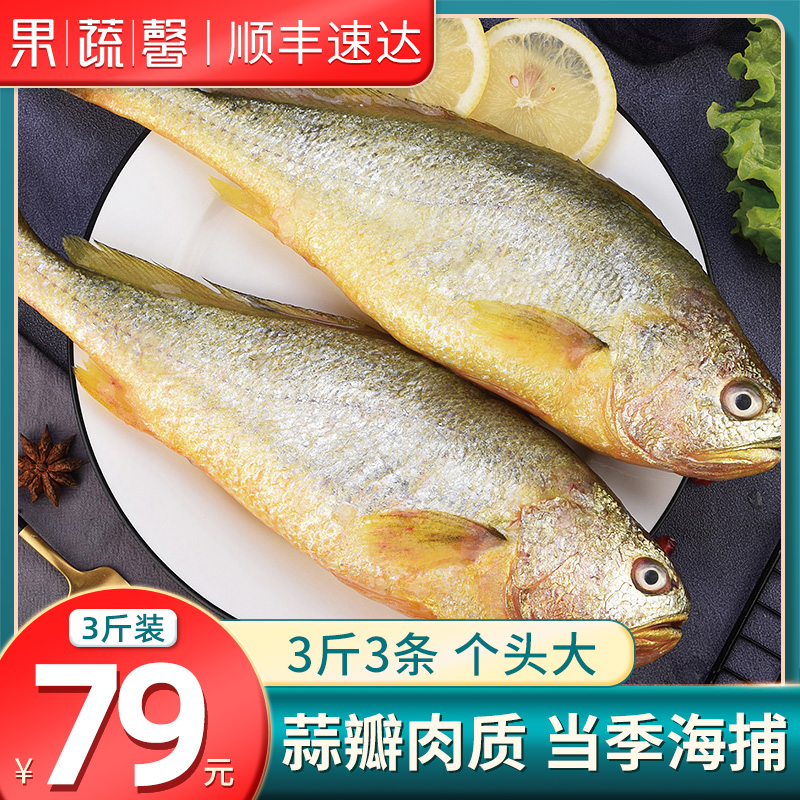3斤3条新鲜大黄花鱼鲜活大黄鱼新鲜冷冻整箱黄鱼海鱼小海鲜水产|msdalam kategori daging perikanan/Buah-buahan segar dan sayur-sayuran/dimasak, makanan laut/produk akuatik/produk, Fish Seafood, 黄鱼 - dari Buy2taobao.com untuk memberikan perkhidmatan ejen Taobao profesional membeli
