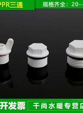 PPR外丝堵头20 25 32PPR外牙塑料管堵管帽水管配件带像胶密封圈