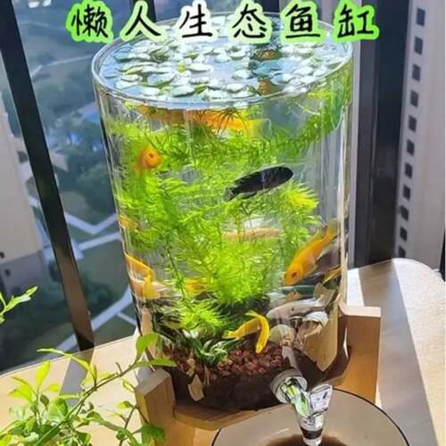 玻璃金鱼缸客厅水族箱小型生态圆形圆柱大号乌龟缸造景用品大全