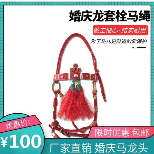 迦南马术用品 马具马龙头 婚庆马龙头 马龙头马牵引笼头龙套