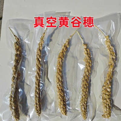 真空谷穗鹦鹉小鸟零食仓鼠黄谷穗小米穗仓鼠笼造景装饰摄影