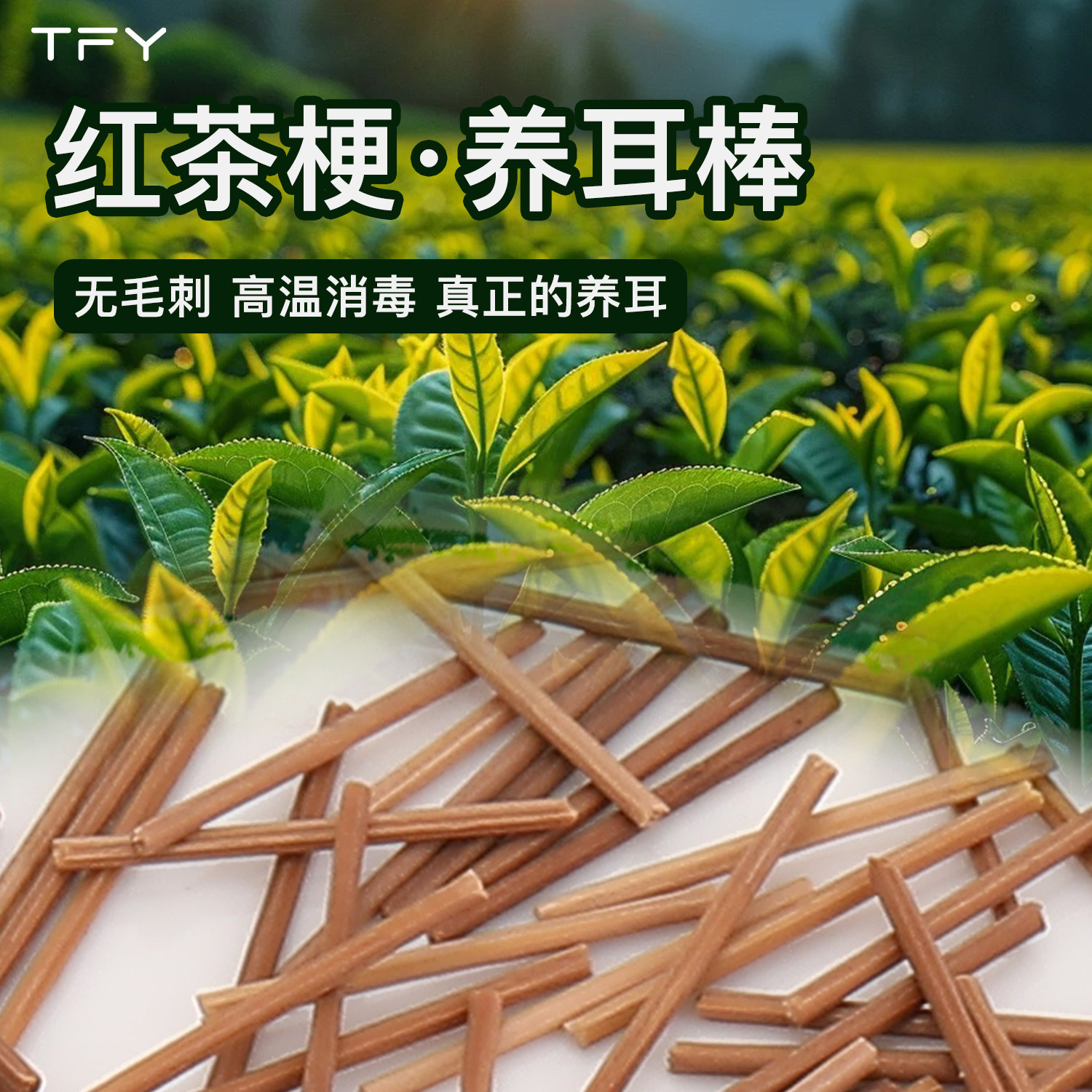 茶叶梗耳棒红茶梗耳钉女养耳洞防堵针学生睡觉免摘隐形耳棍耳针